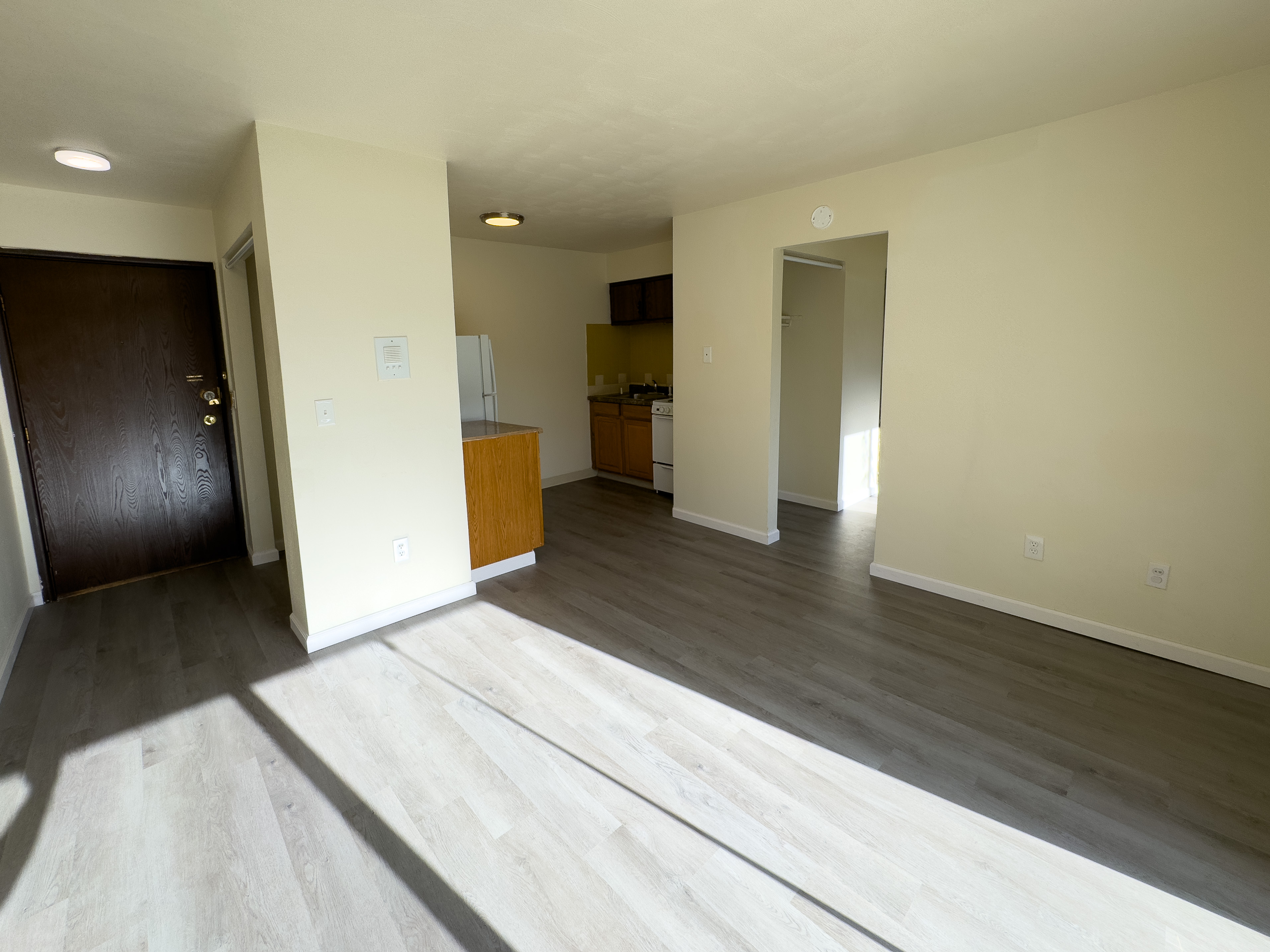 One Bedroom at Tall Pines Apartments